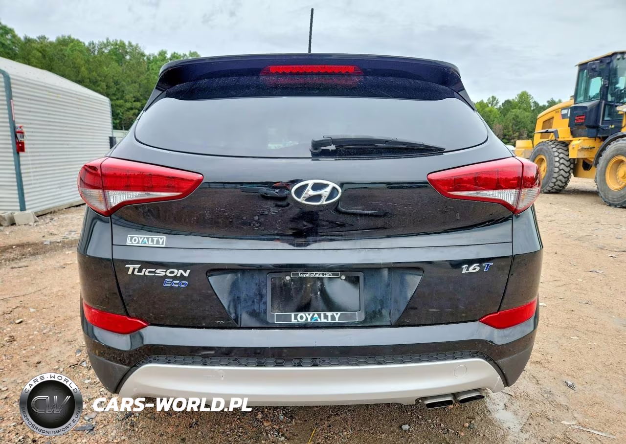 2017 Hyundai Tucson Eco VIN:KM8J33A20HU294576 - 6