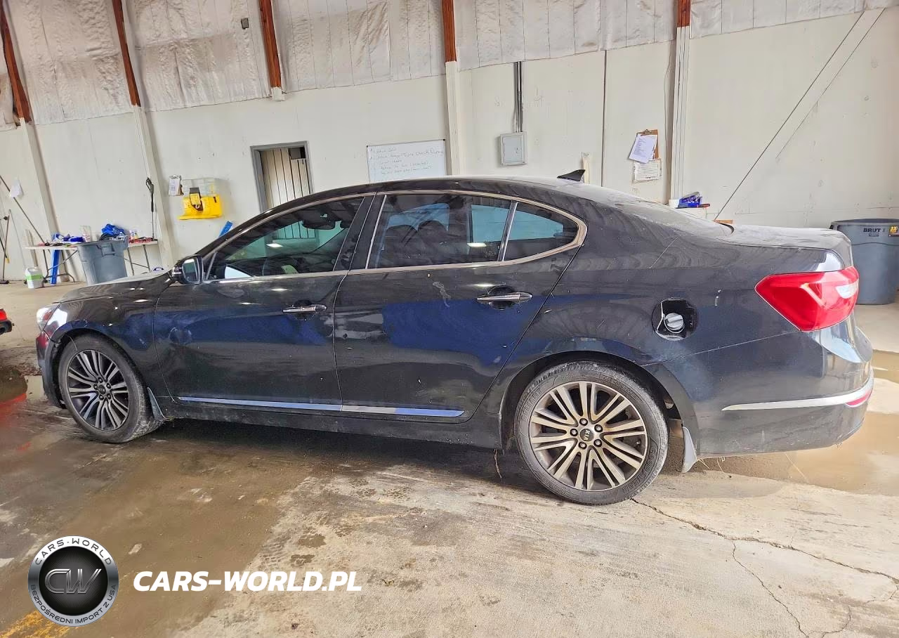 2014 Kia Cadenza Premium VIN:KNALN4D76E5140218 - 2