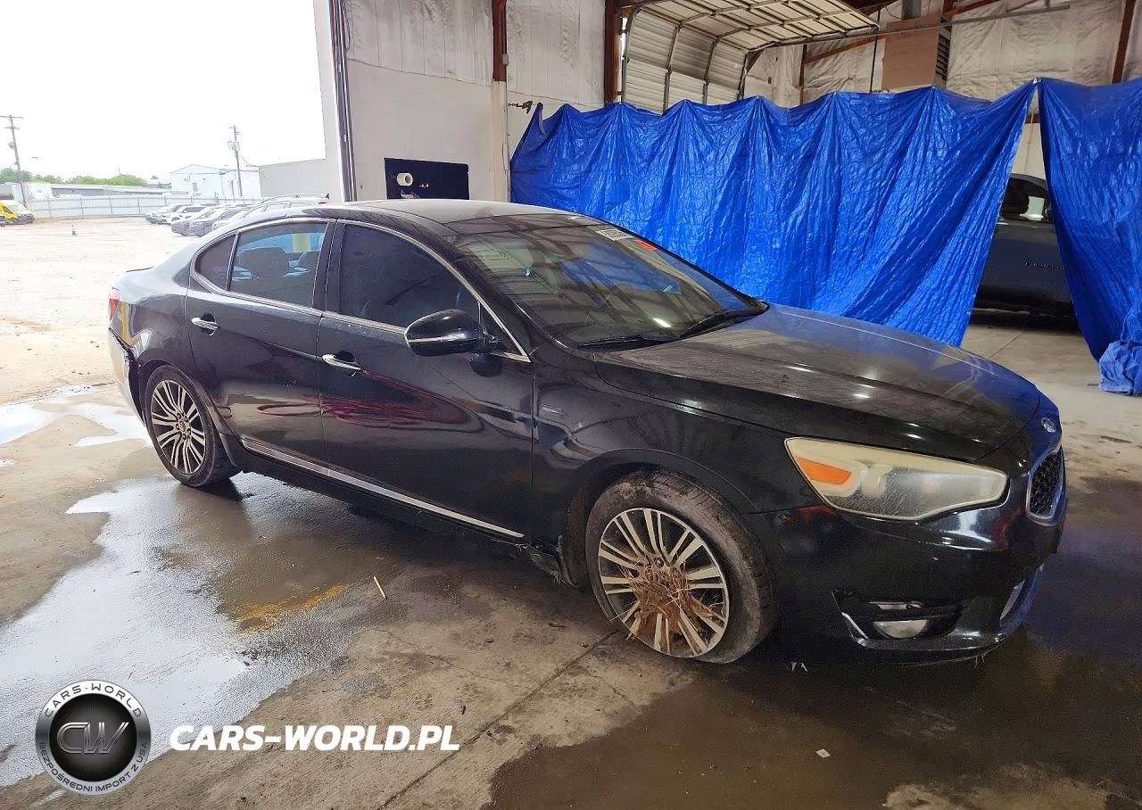 2014 Kia Cadenza Premium VIN:KNALN4D76E5140218 - 4