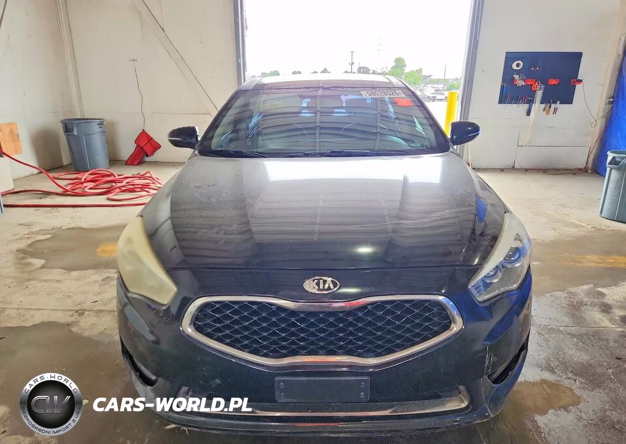 2014 Kia Cadenza Premium VIN:KNALN4D76E5140218 - 5