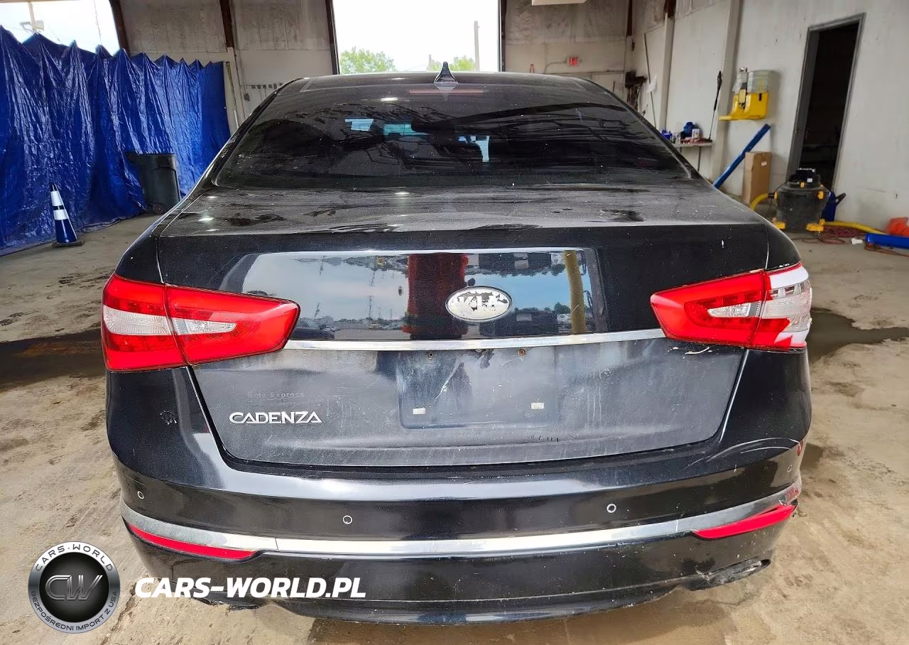 2014 Kia Cadenza Premium VIN:KNALN4D76E5140218 - 6
