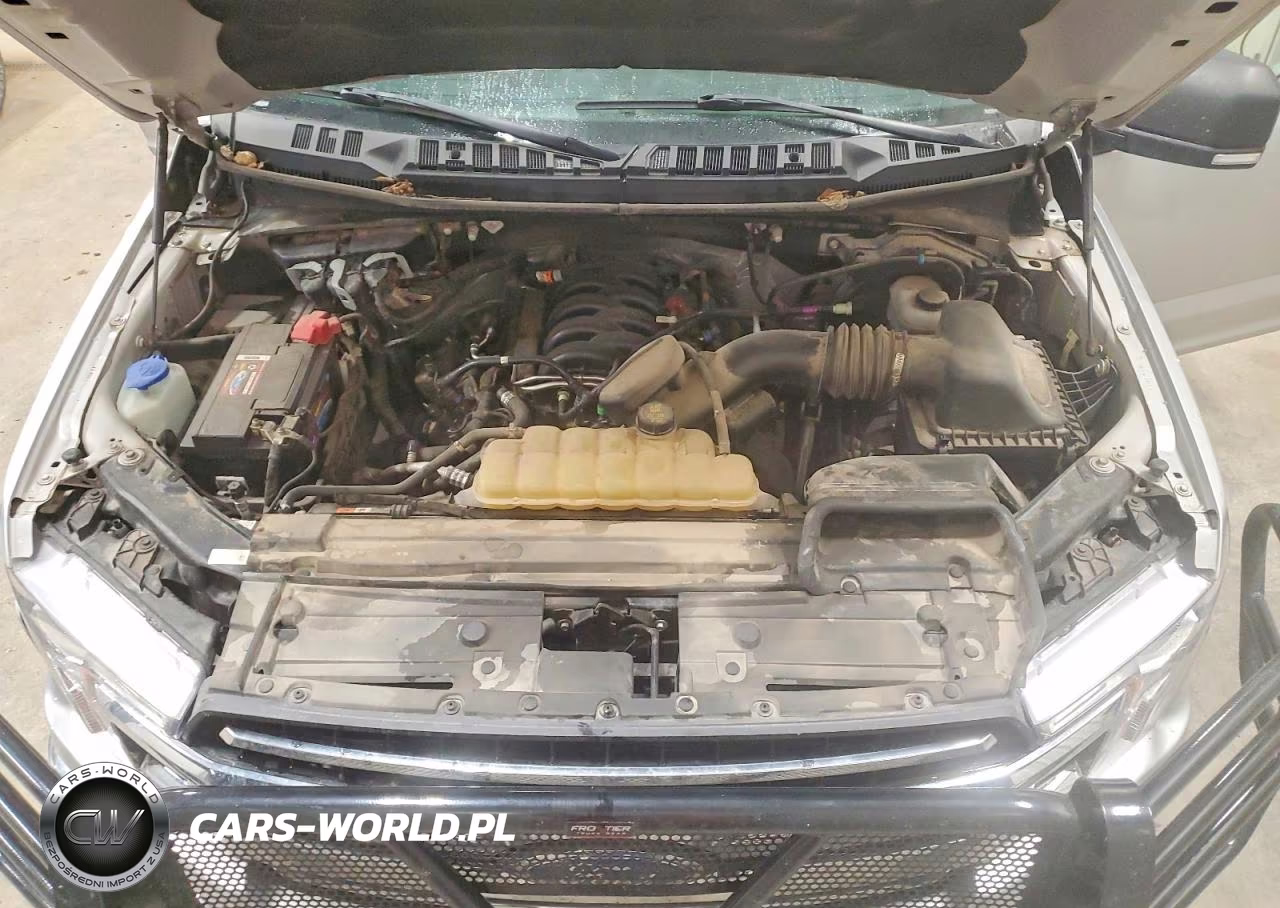 2019 Ford F150 Supercrew VIN:1FTEW1E54KKE08216 - 11
