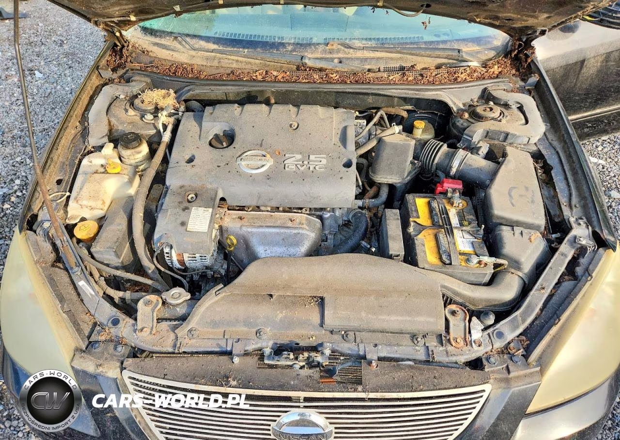 2002 Nissan Altima 2.5 VIN:1N4AL11D42C275686 - 11