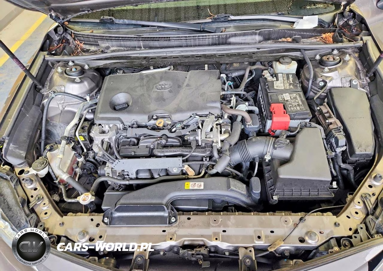2019 Toyota Camry Le VIN:4T1B11HK1KU210356 - 11