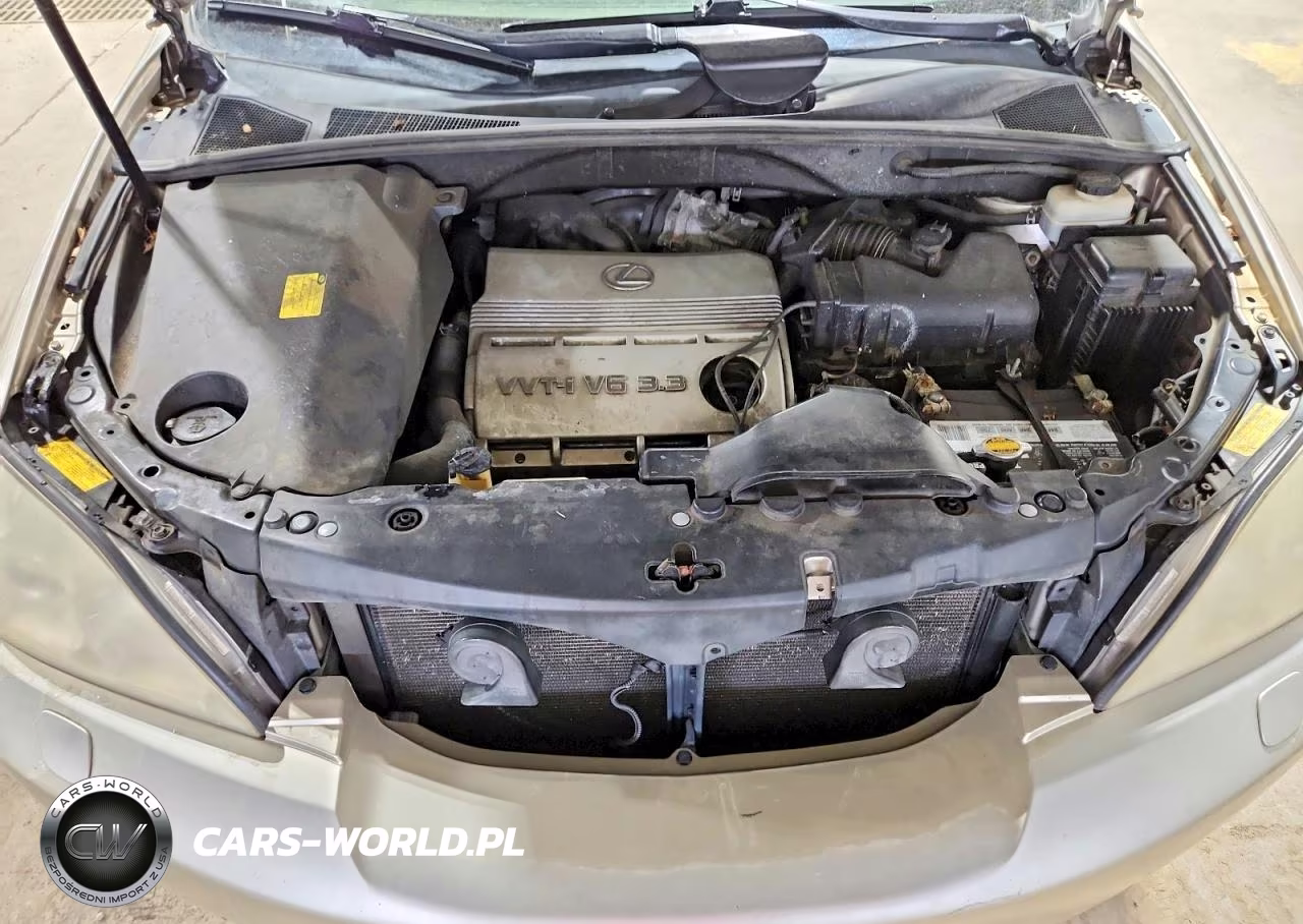 2005 Lexus Rx 330 VIN:2T2HA31U75C056237 - 12