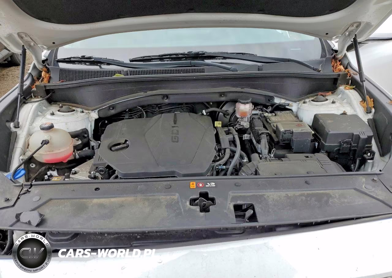 2022 Hyundai Santa Fe Sel VIN:5NMS2DAJ1NH479683 - 12