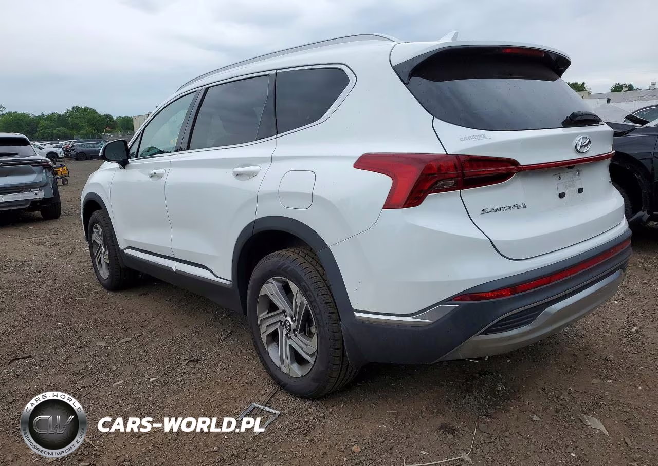 2022 Hyundai Santa Fe Sel VIN:5NMS2DAJ1NH479683 - 2