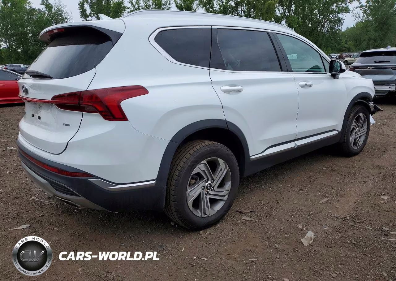 2022 Hyundai Santa Fe Sel VIN:5NMS2DAJ1NH479683 - 3