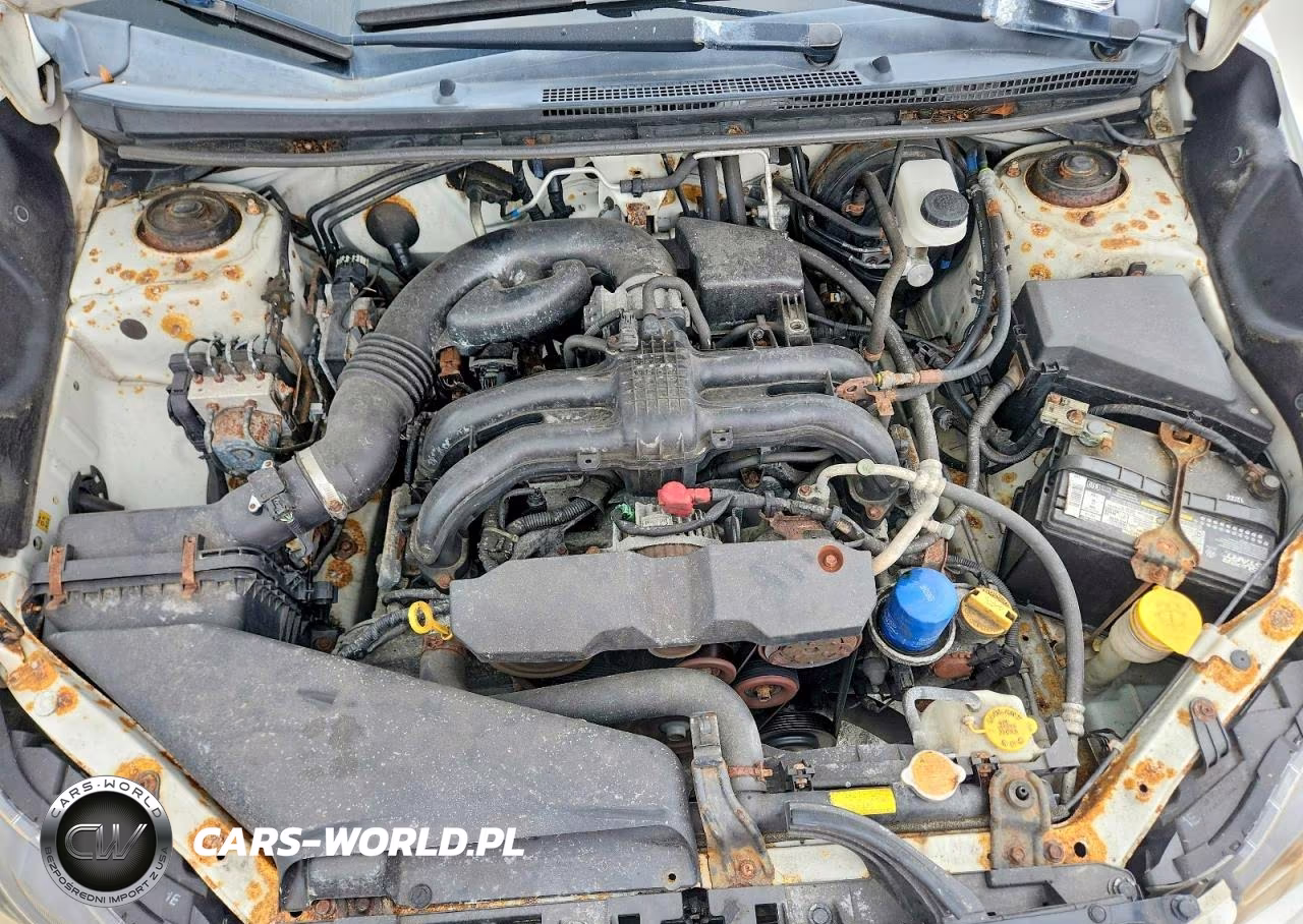 2013 Subaru Xv Crosstrek 2.0 Premium VIN:JF2GPACC5DG824919 - 12