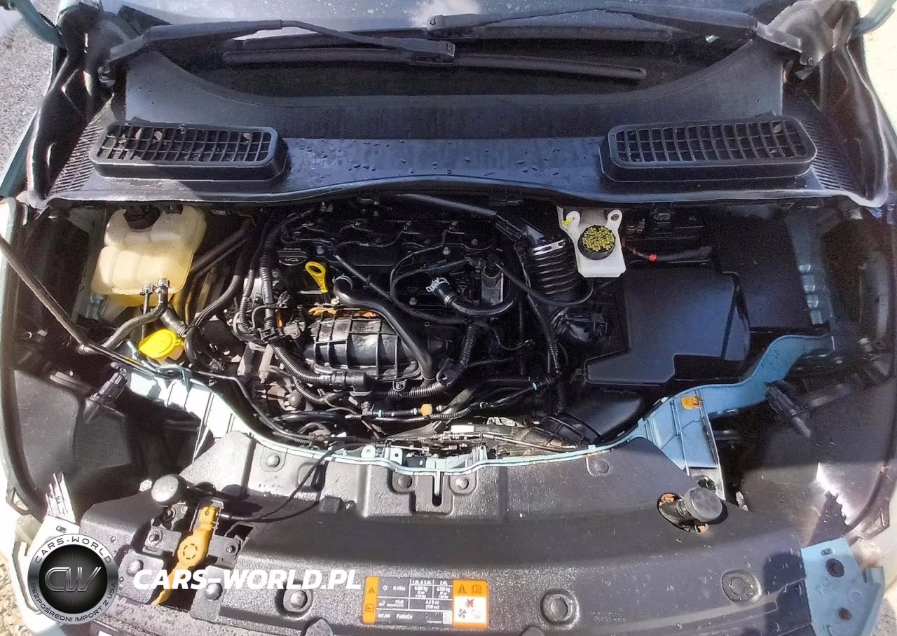 2013 Ford Escape Se VIN:1FMCU0GX7DUA25718 - 12