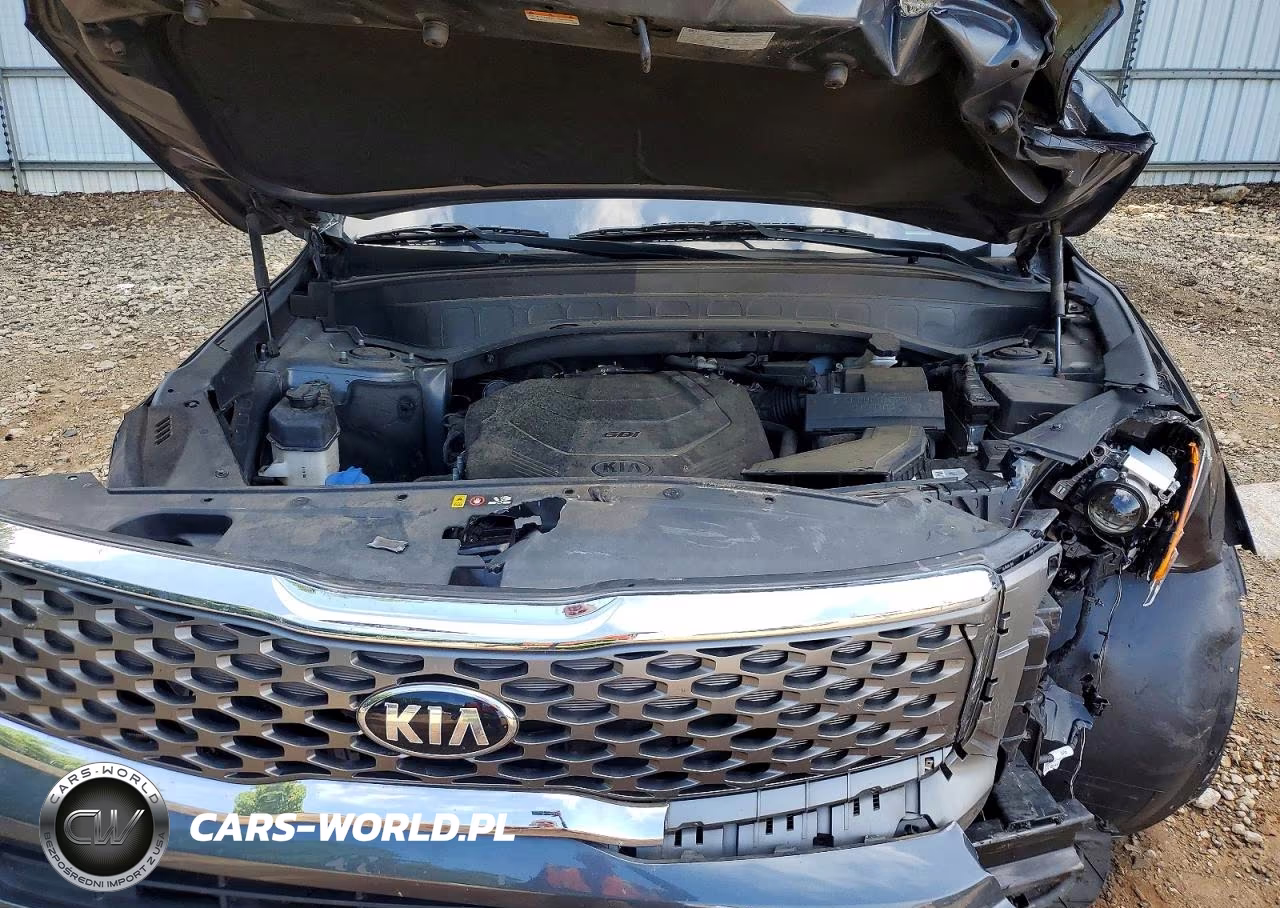 2021 Kia Telluride Lx VIN:5XYP24HC8MG099228 - 12