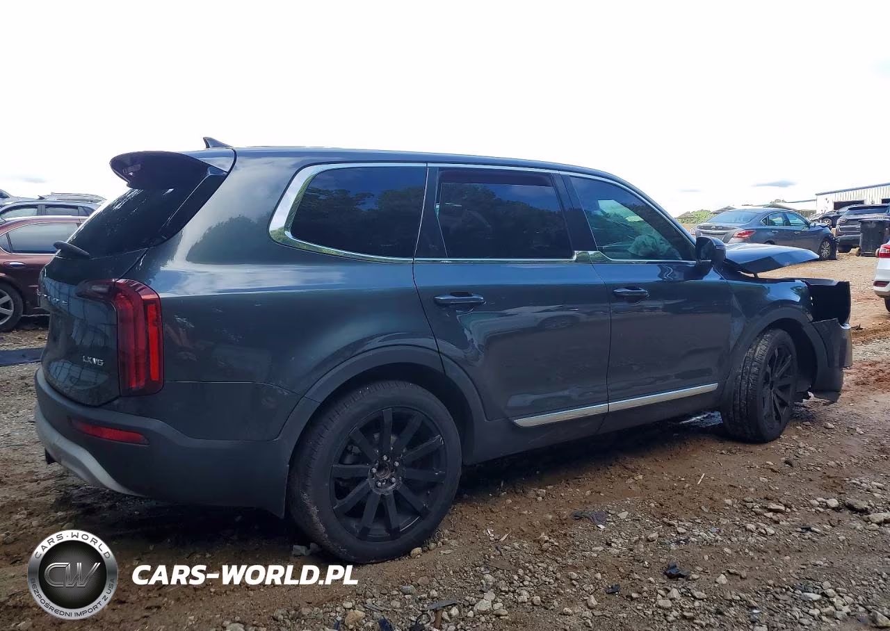 2021 Kia Telluride Lx VIN:5XYP24HC8MG099228 - 3