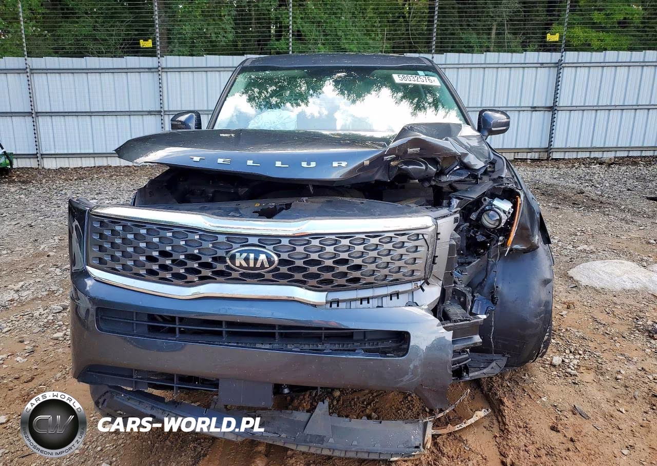 2021 Kia Telluride Lx VIN:5XYP24HC8MG099228 - 5