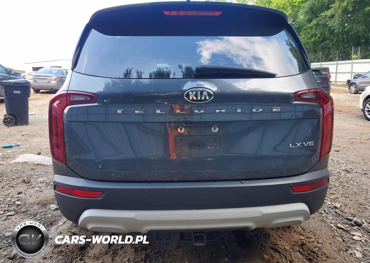 2021 Kia Telluride Lx VIN:5XYP24HC8MG099228 - 6