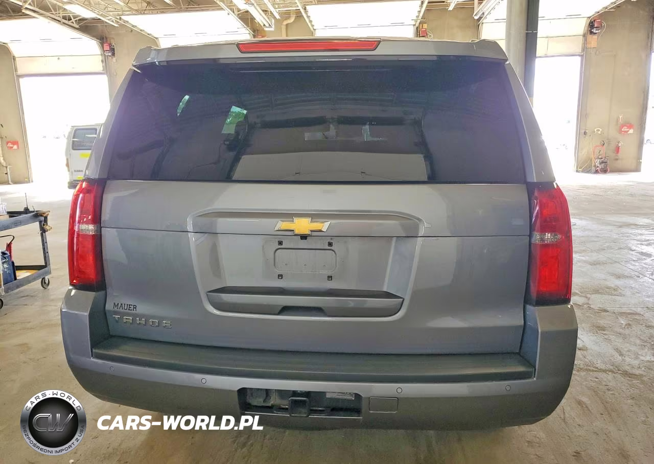 2018 Chevrolet Tahoe K1500 Ls VIN:1GNSKAKC7JR349449 - 6