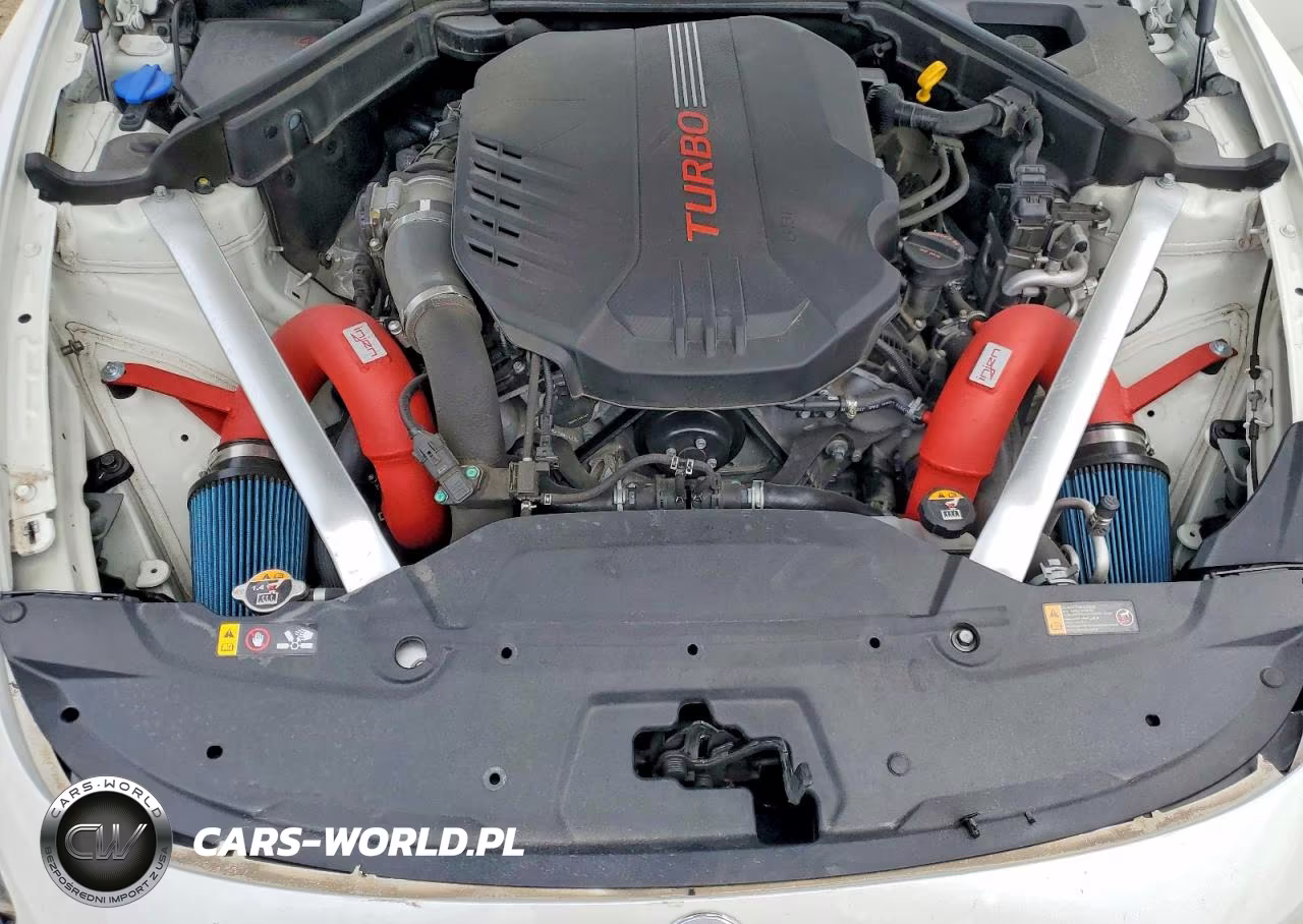 2021 Kia Stinger Gt2 VIN:KNAE55LCXM6091482 - 11