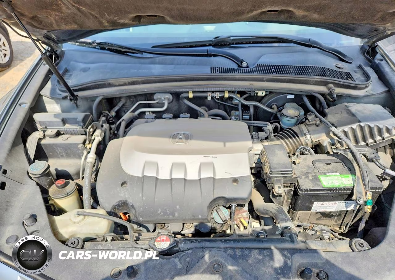 2010 Acura Zdx VIN:2HNYB1H4XAH502032 - 11