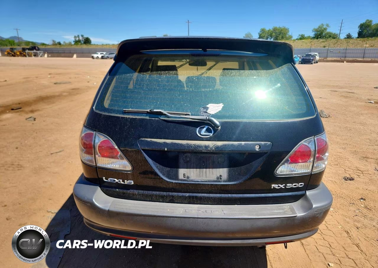2002 Lexus Rx 300 VIN:JTJGF10U820143526 - 6