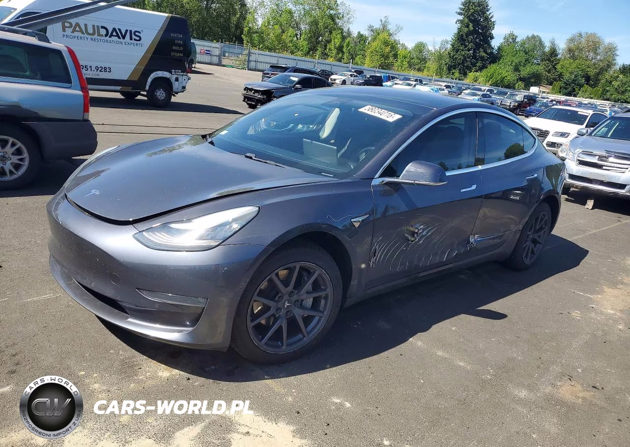 2019 Tesla Model 3