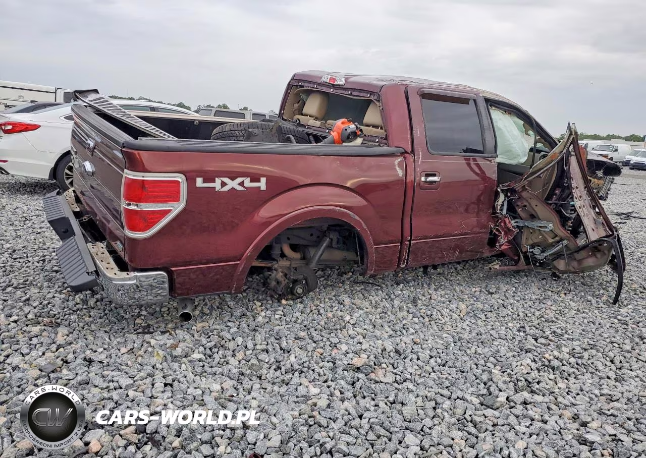 2010 Ford F150 Supercrew VIN:1FTFW1EV0AFC45494 - 3