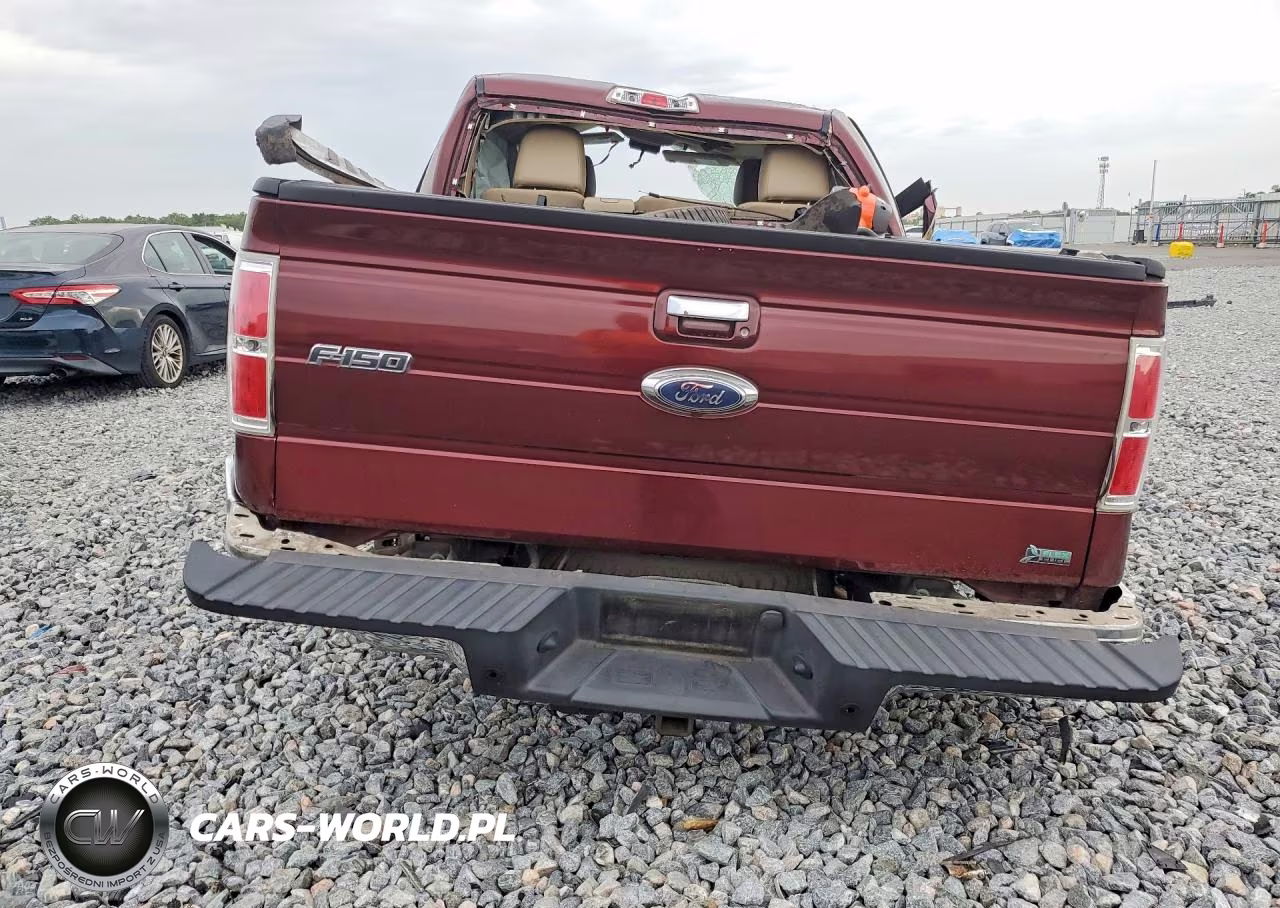 2010 Ford F150 Supercrew VIN:1FTFW1EV0AFC45494 - 6