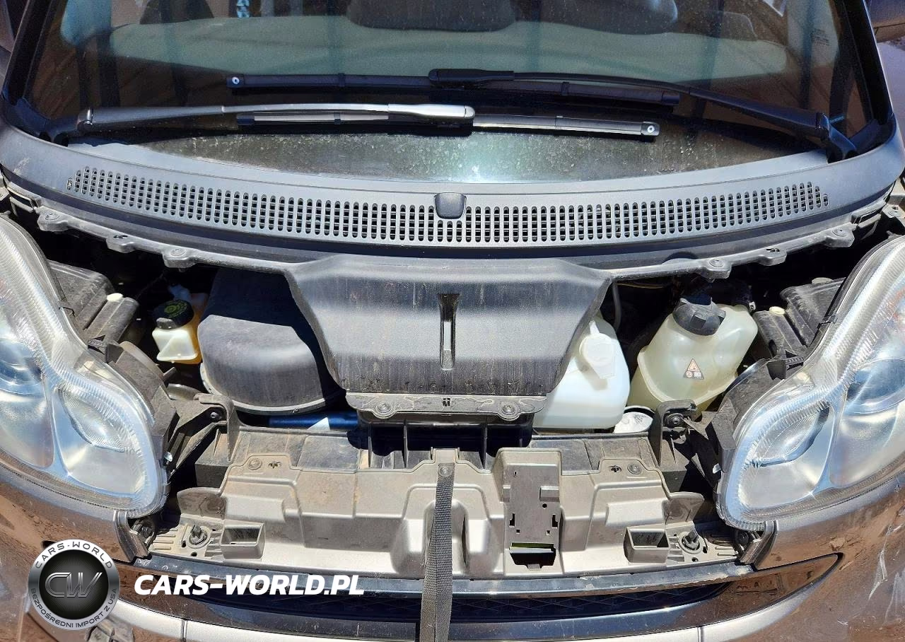 2010 Smart Fortwo Passion VIN:WMEEK3BA1AK344810 - 11