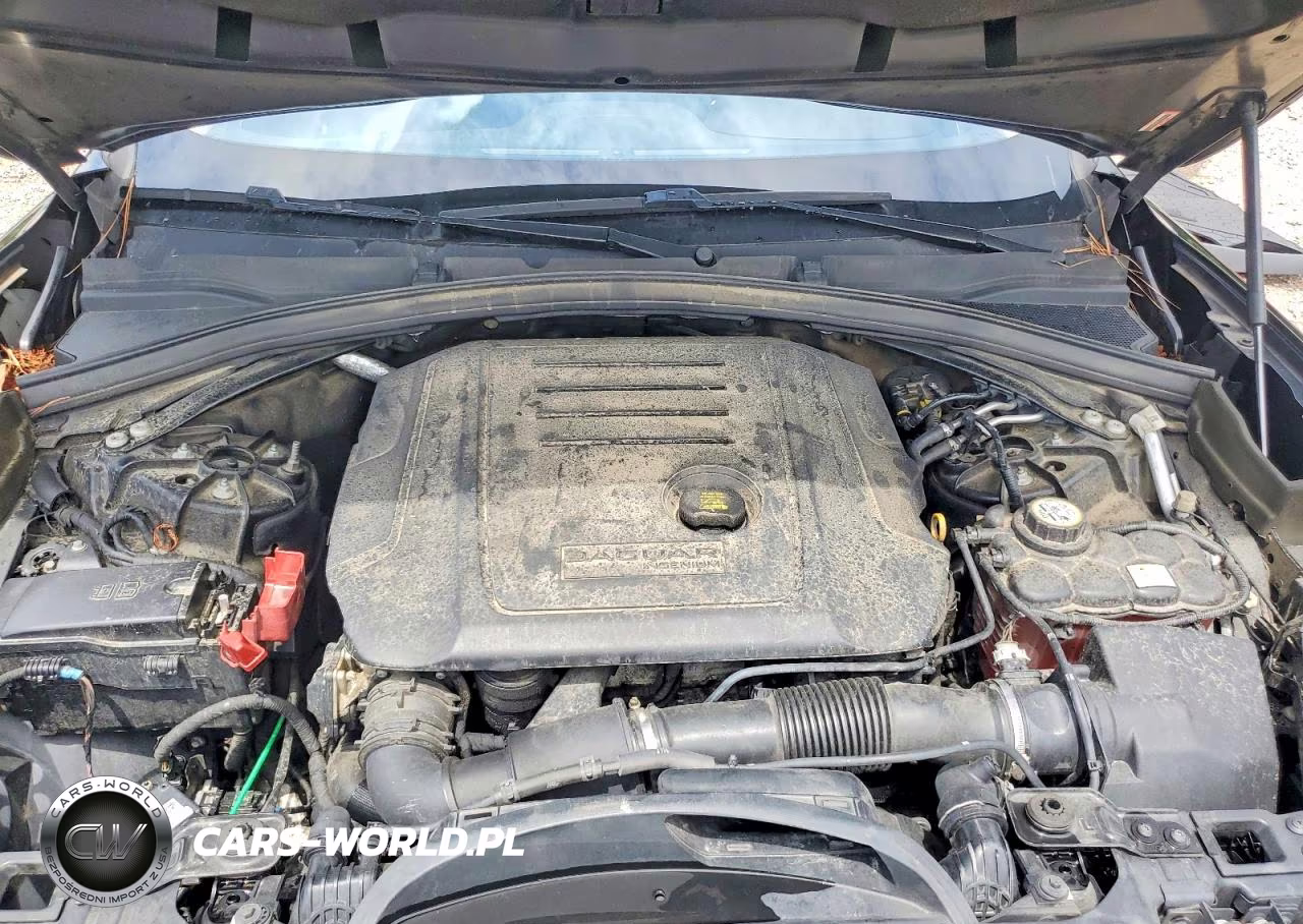 2019 Jaguar F-Pace Premium VIN:SADCJ2FN4KA365212 - 12
