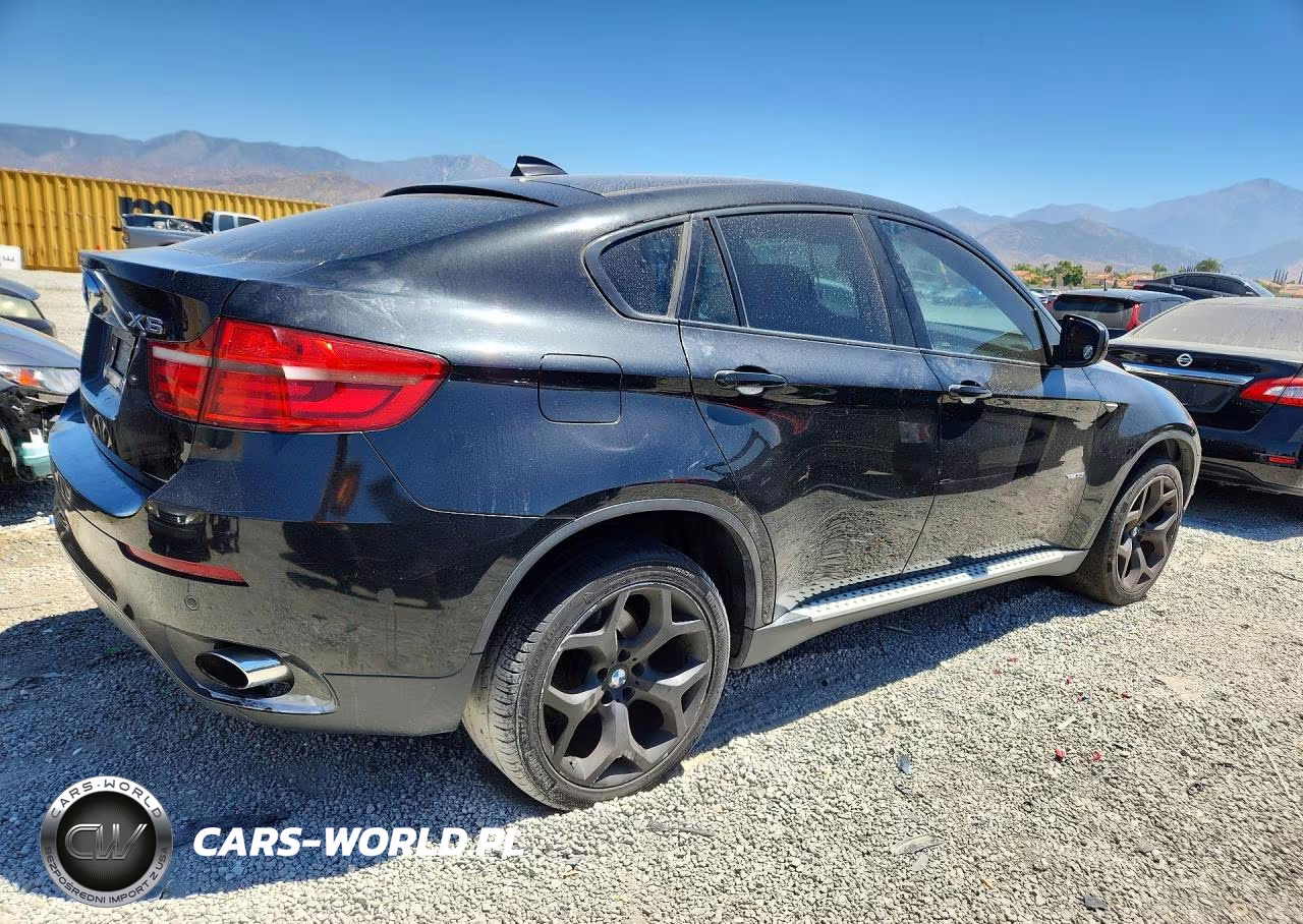 2013 BMW X6 xDrive35I VIN:5UXFG2C58DL784942 - 3