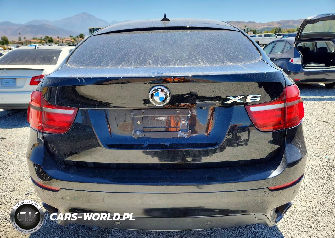 2013 BMW X6 xDrive35I VIN:5UXFG2C58DL784942 - 6