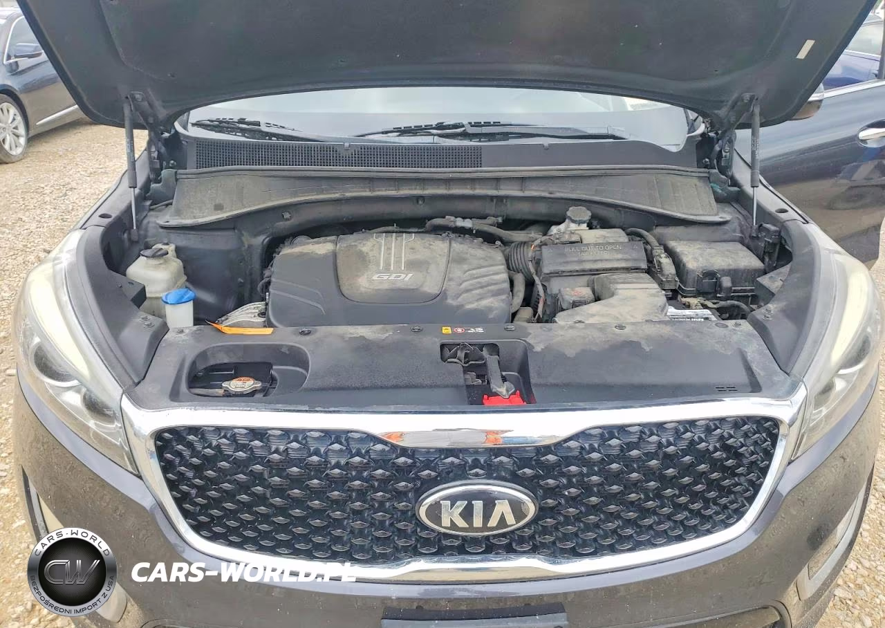 2017 Kia Sorento Ex VIN:5XYPHDA59HG204357 - 12