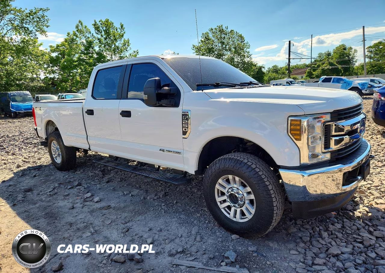 2019 Ford F250 Super Duty VIN:1FT7W2BT4KEG00249 - 4