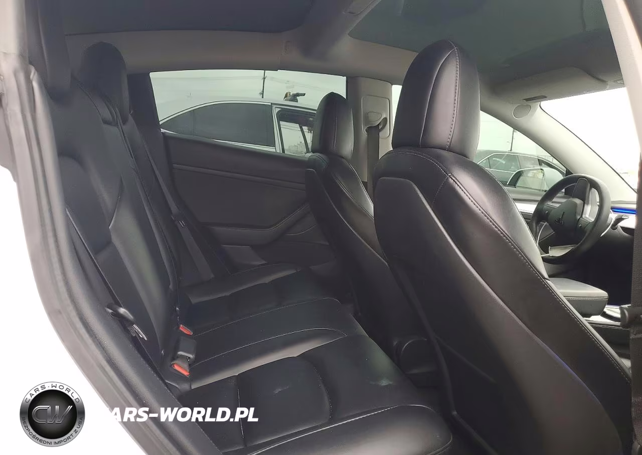2021 Tesla Model 3 VIN:5YJ3E1EA3MF094033 - 10