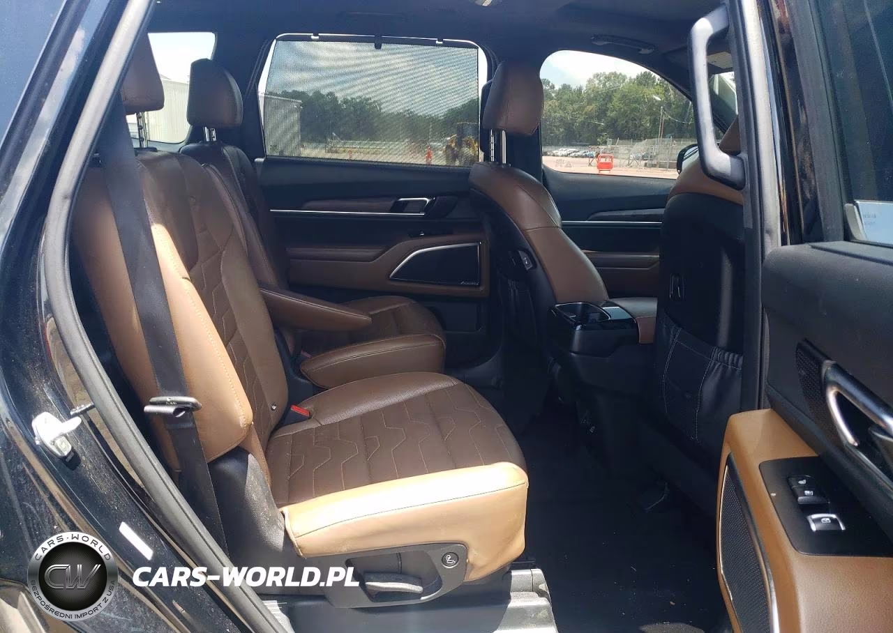 2021 Kia Telluride Sx VIN:5XYP5DHC8MG145390 - 11