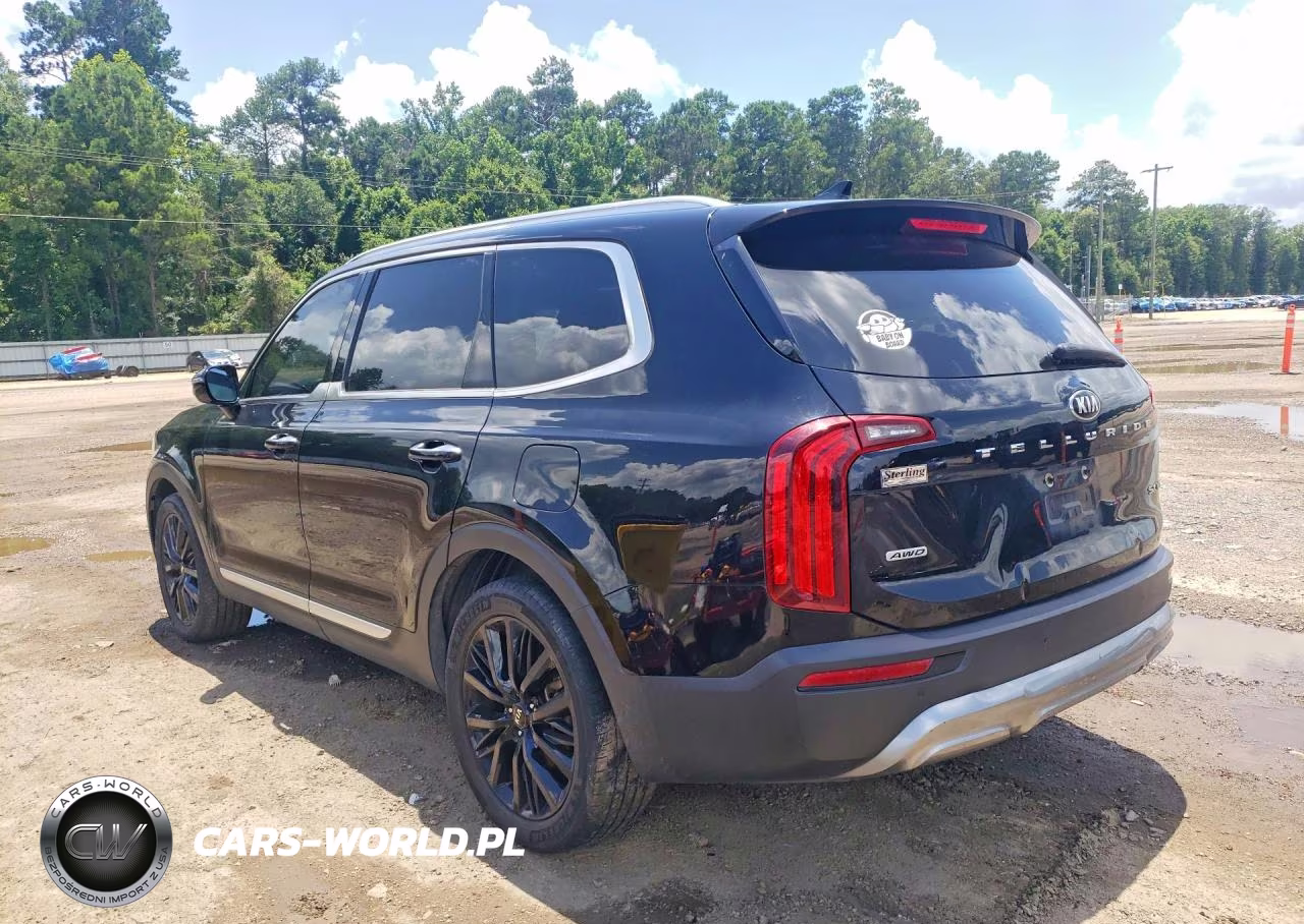 2021 Kia Telluride Sx VIN:5XYP5DHC8MG145390 - 2