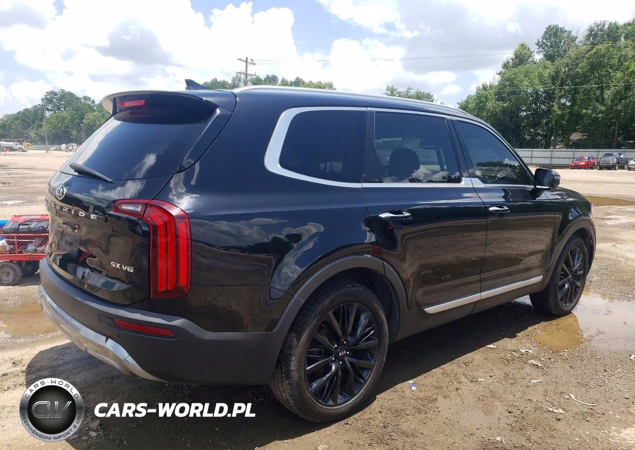 2021 Kia Telluride Sx VIN:5XYP5DHC8MG145390 - 3