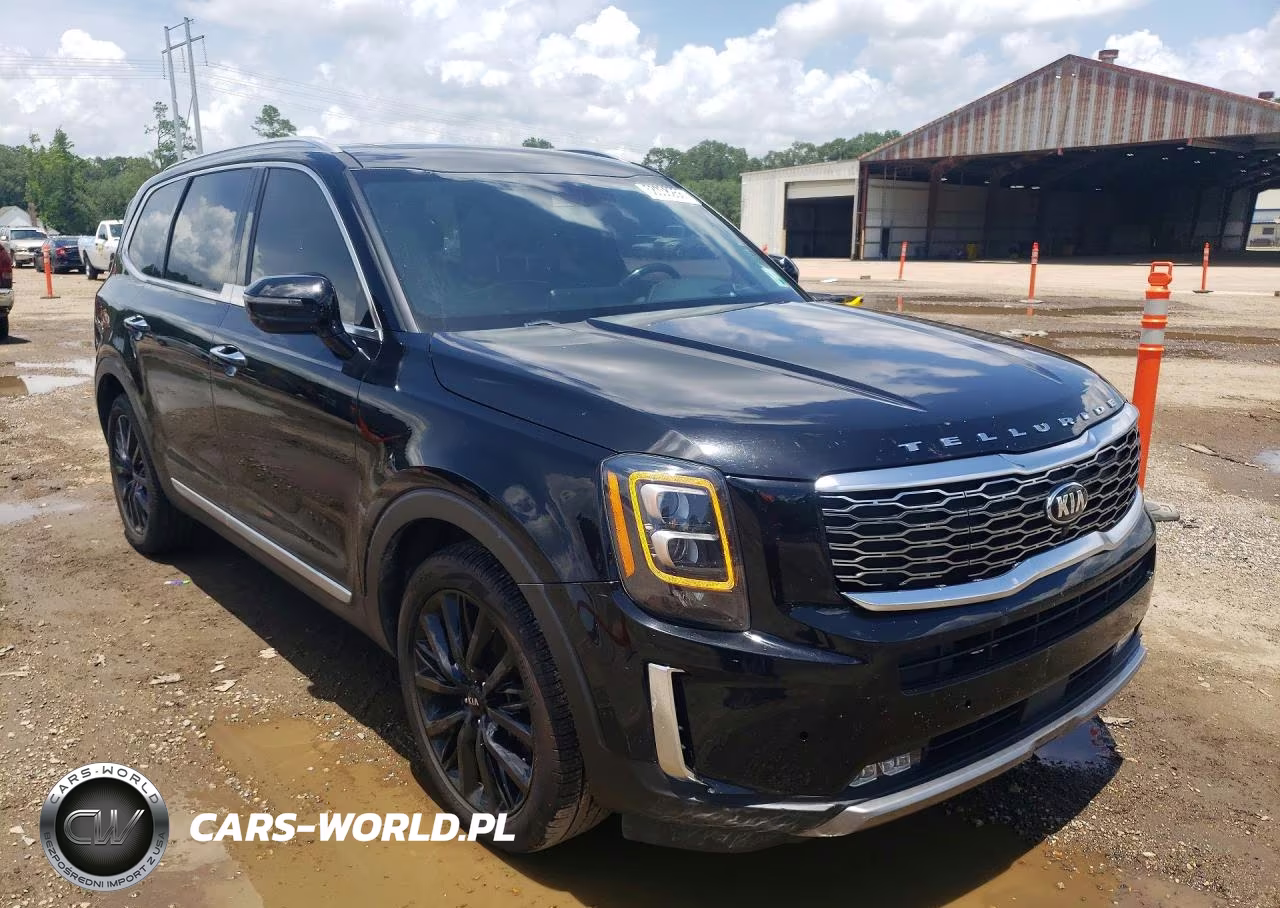 2021 Kia Telluride Sx VIN:5XYP5DHC8MG145390 - 4