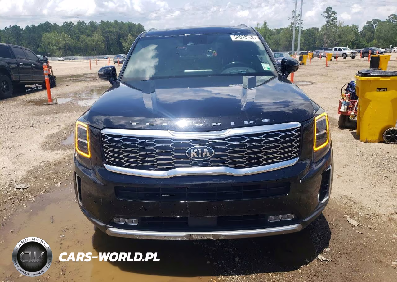 2021 Kia Telluride Sx VIN:5XYP5DHC8MG145390 - 5