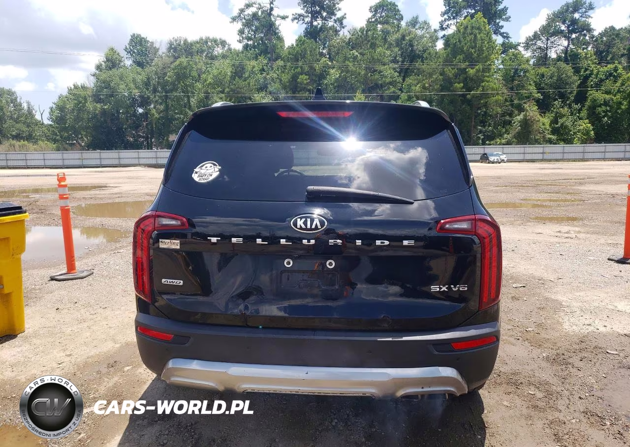 2021 Kia Telluride Sx VIN:5XYP5DHC8MG145390 - 6
