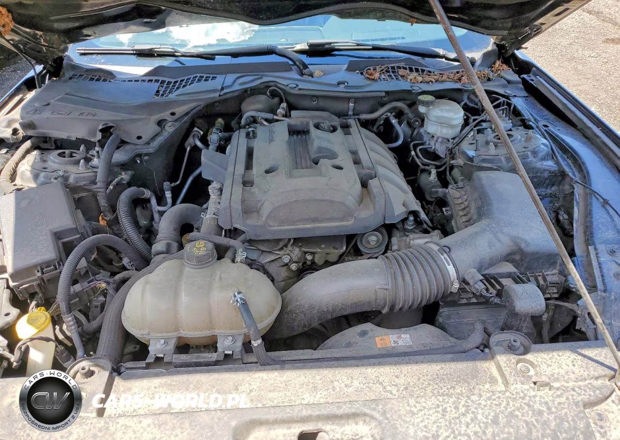 2017 Ford Mustang VIN:1FA6P8TH1H5339845 - 11