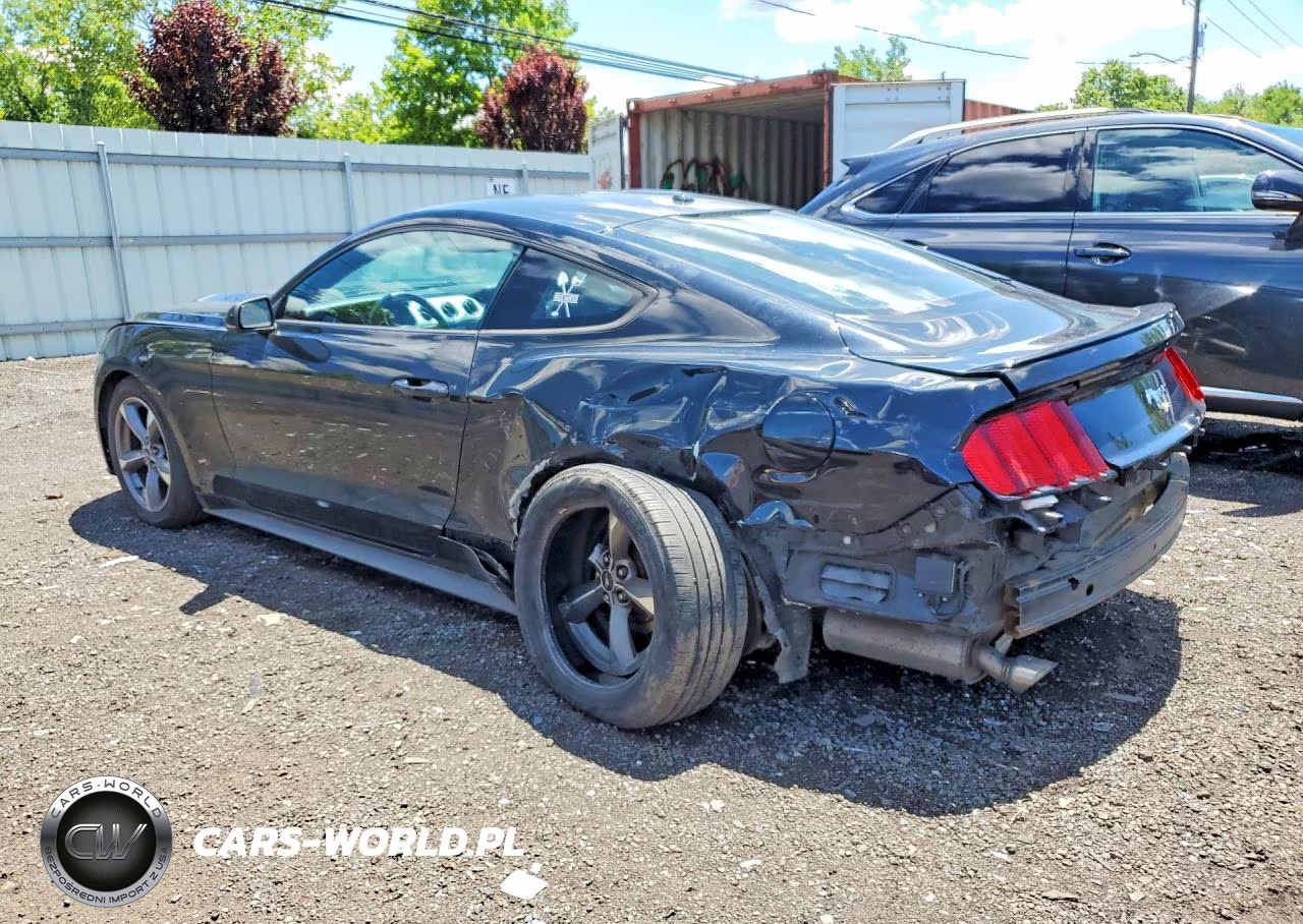 2017 Ford Mustang VIN:1FA6P8TH1H5339845 - 2