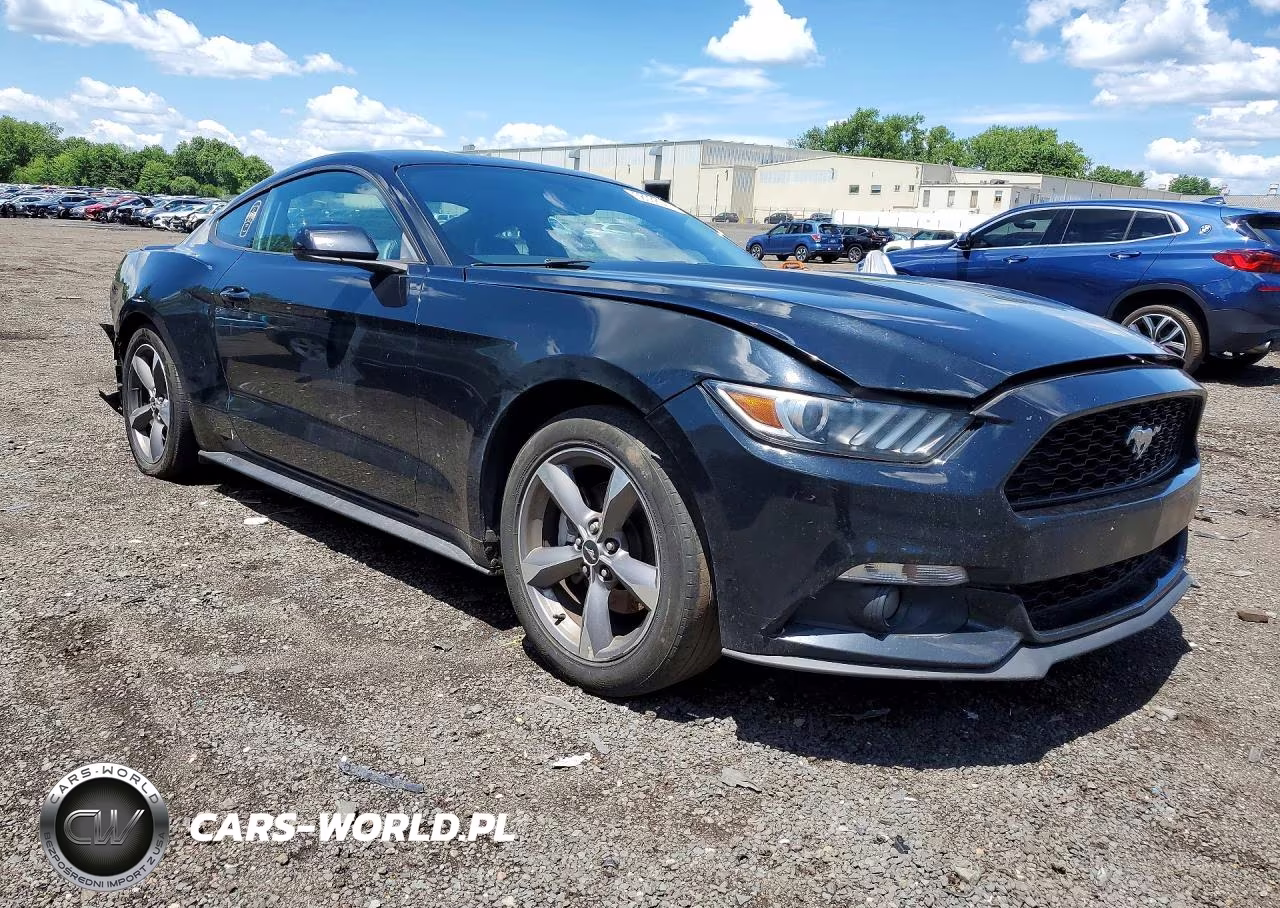 2017 Ford Mustang VIN:1FA6P8TH1H5339845 - 4