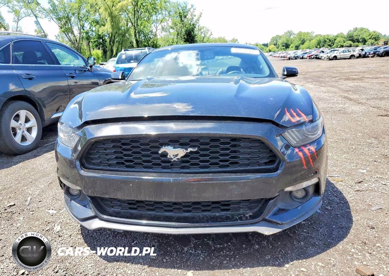 2017 Ford Mustang VIN:1FA6P8TH1H5339845 - 5