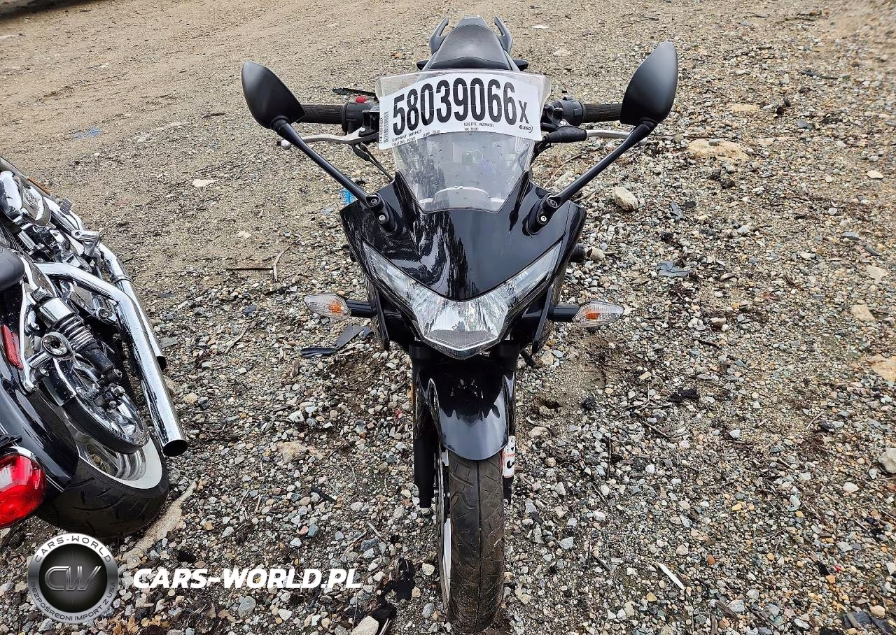2012 Honda Cbx250 Ra VIN:MLHMC4117C5200367 - 2