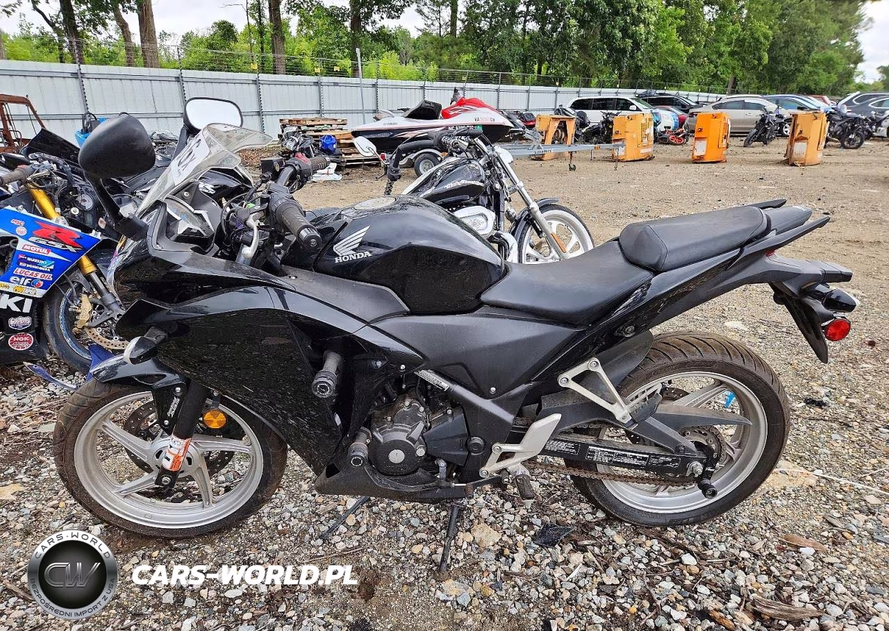 2012 Honda Cbx250 Ra VIN:MLHMC4117C5200367 - 3
