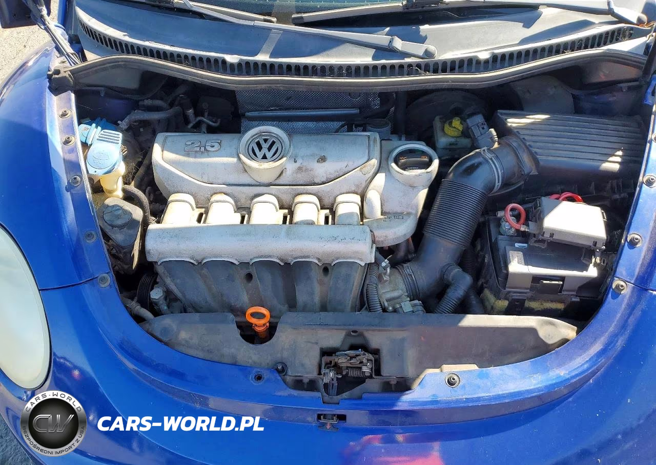 2008 Volkswagen New Beetle S VIN:3VWPG31C28M525782 - 11