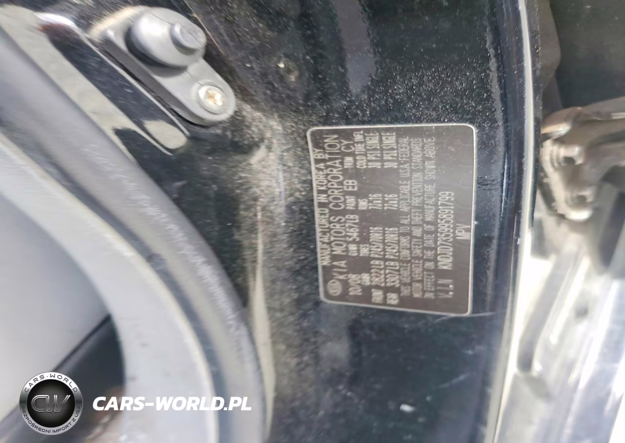 2009 Kia Sorento Base VIN:KNDJD735995891799 - 12