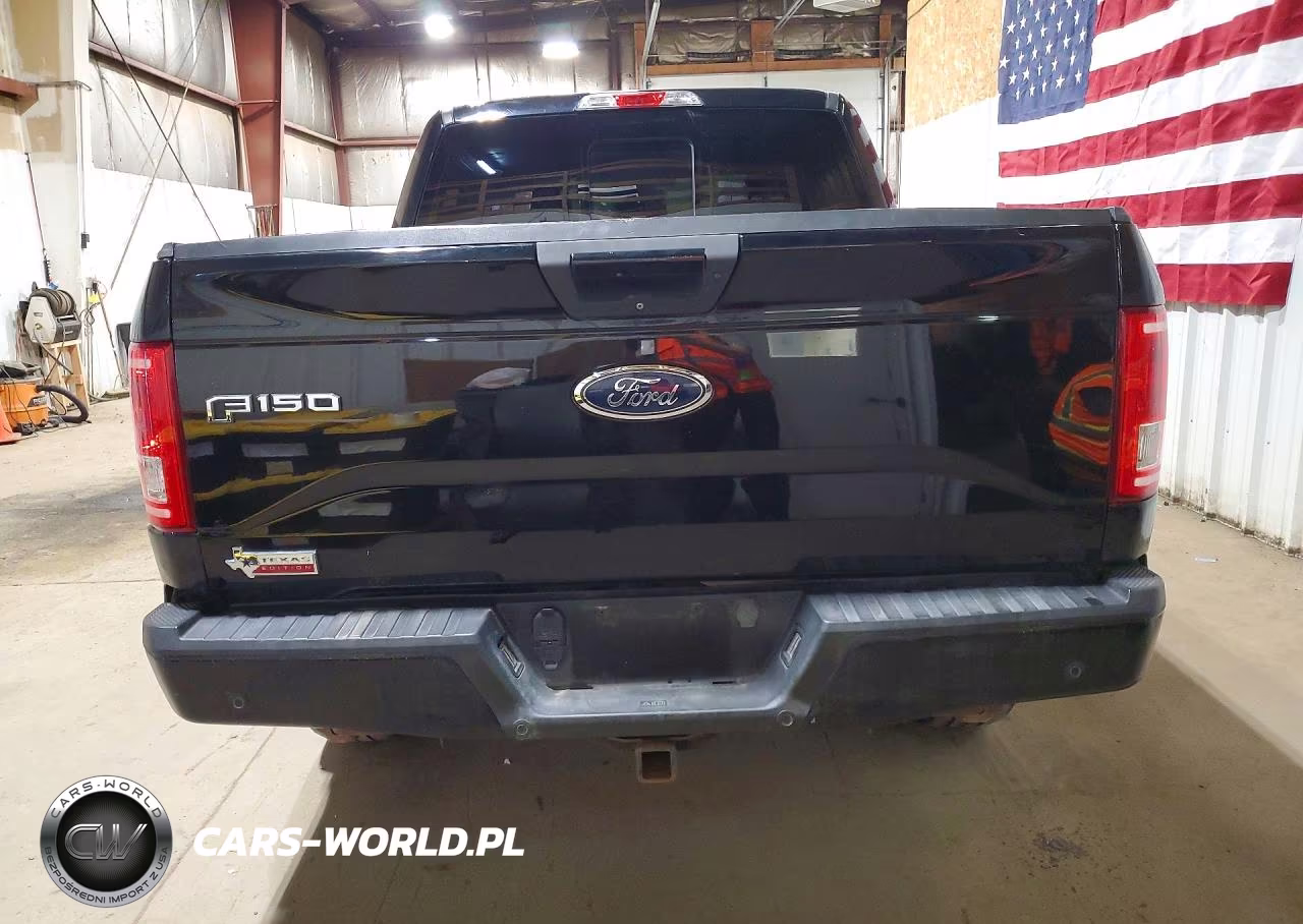 2017 Ford F150 Supercrew VIN:1FTEW1EF7HKD69994 - 6