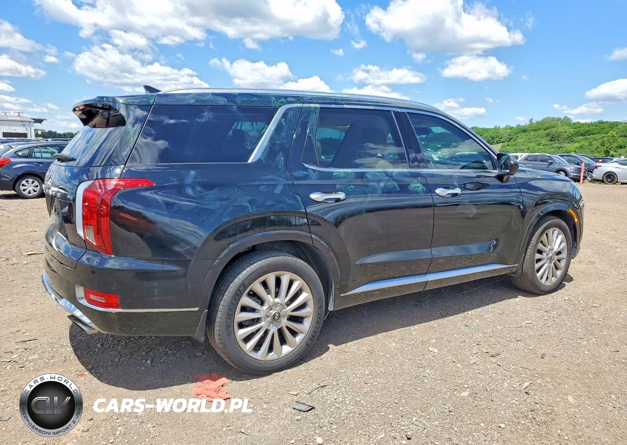 2020 Hyundai Palisade Limited VIN:KM8R5DHE4LU167552 - 3