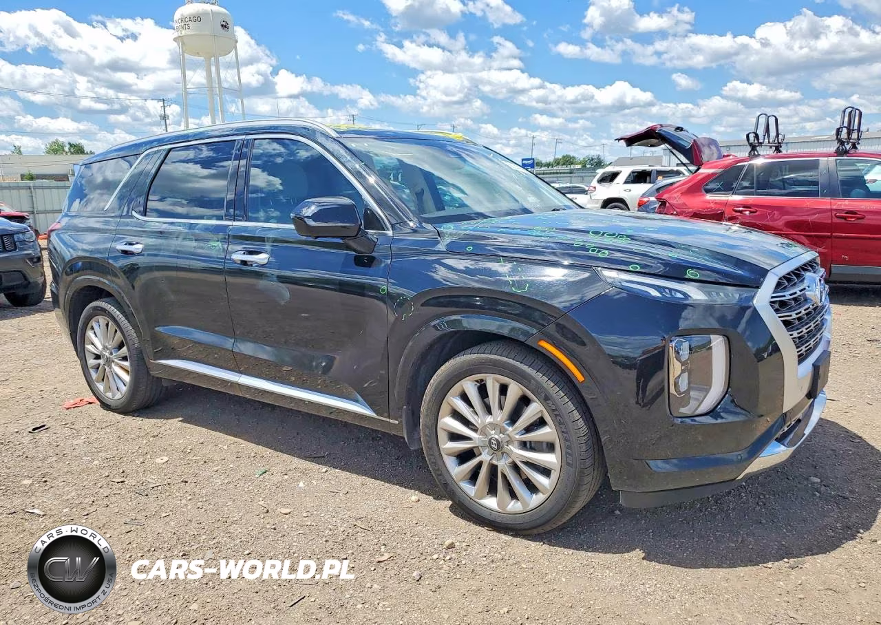 2020 Hyundai Palisade Limited VIN:KM8R5DHE4LU167552 - 4