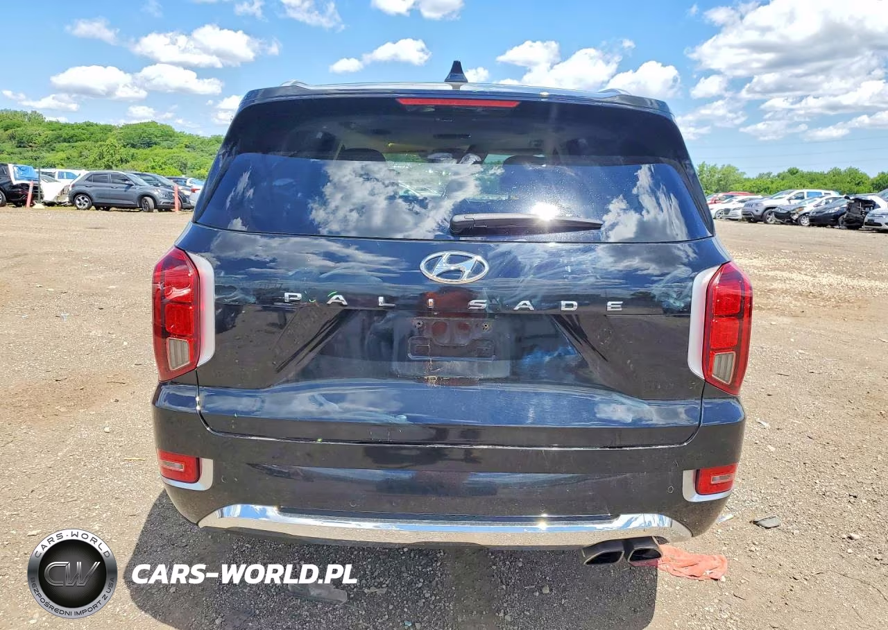 2020 Hyundai Palisade Limited VIN:KM8R5DHE4LU167552 - 6